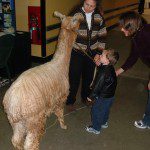Dr. Kim and son at Alpaca Fest, Madison
