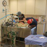 Performing a dental procedure