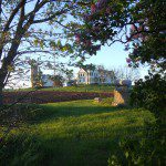 Lilacs frame the farmhouse