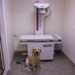 Radiography