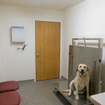 Exam Room 2