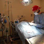An efficient, modern surgical suite