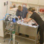 Preparing a patient for surgery