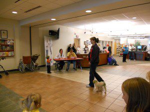 Packer Pet Parade at Fond Du Lac Public Library