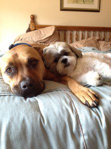 Duke and Baker