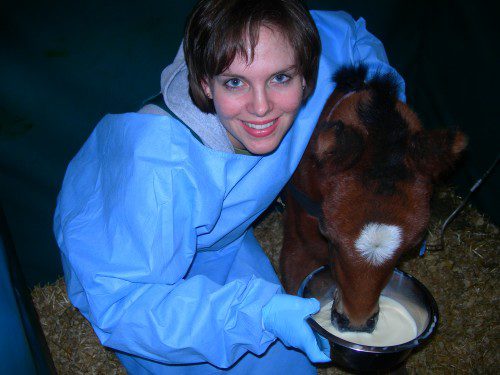 Dr. Kim and ICU Foal