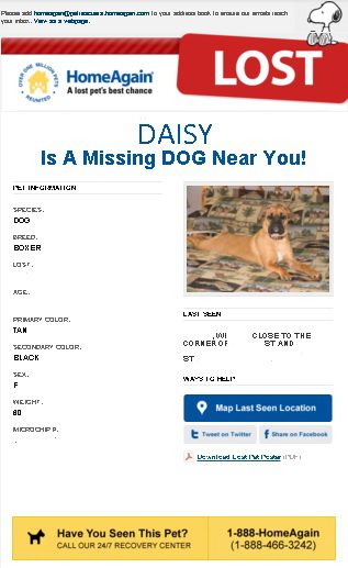 Sample "Lost Pet" poster, a HomeAgain service for locating missing pets. This benefit is included in the first year of membership, and can be renewed for a nominal fee after that.