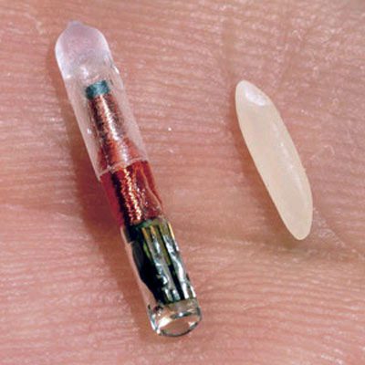 Microchipping: Think Barcode Not GPS
