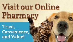 our online pharmacy